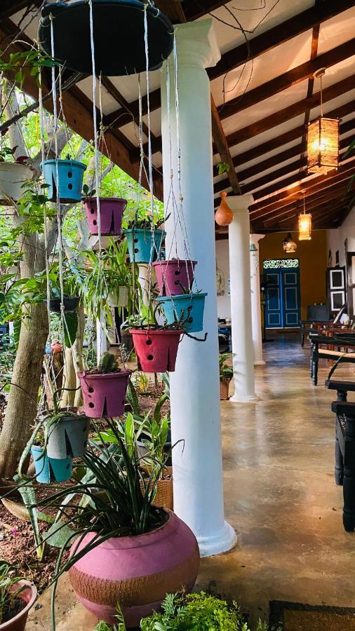 סיגירייה The Courtyard Villa מראה חיצוני תמונה