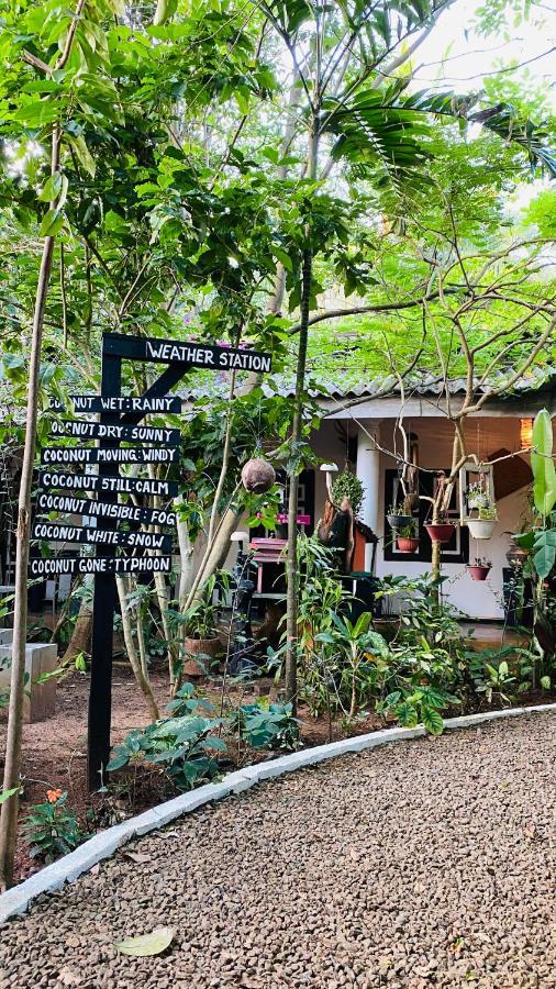 סיגירייה The Courtyard Villa מראה חיצוני תמונה